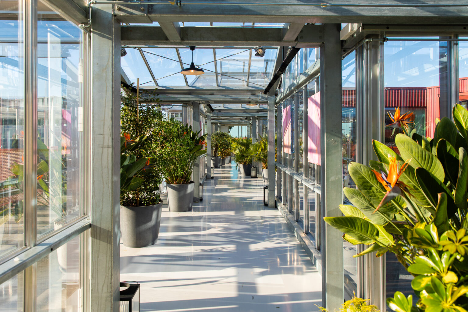 Zoku Copenhagen