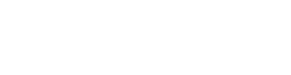 Danish Business Authority